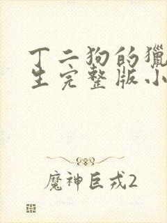 丁二狗的猎艳人生完整版小说下载