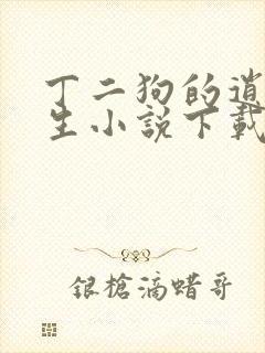 丁二狗的逍遥人生小说下载txt