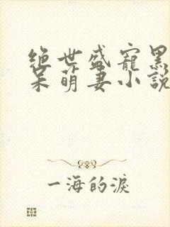 绝世盛宠黑帝的呆萌妻小说