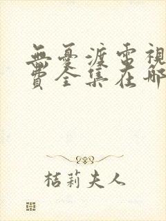 无忧渡电视剧免费全集在哪观看封面