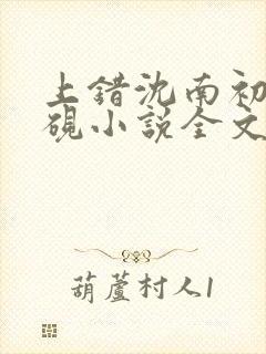 上错沈南初陆时砚小说全文免费阅读封面