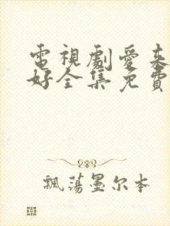 电视剧爱来的刚好全集免费观看封面