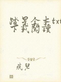 踏星全本txt下载阅读
