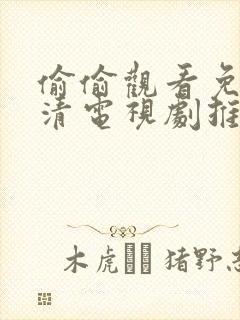 偷偷观看免费高清电视剧推荐