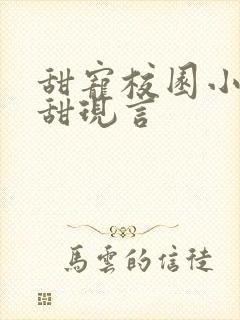 甜宠校园小说高甜现言封面