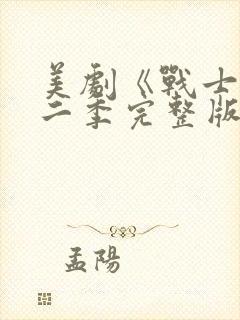 美剧《战士》第二季完整版在线观看