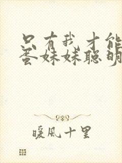 只有我才能让笨蛋妹妹聪明