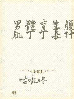 男体育生腹肌胸肌丁丁长什么样