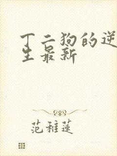 丁二狗的逆袭人生最新