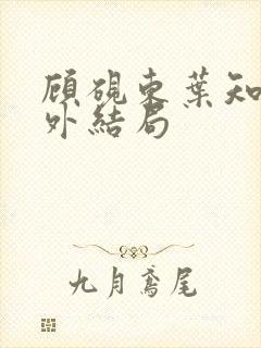 顾砚东叶知安番外结局封面