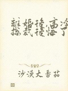 离婚后,高冷女总裁后悔了小说