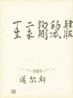 丁二狗的肆意人生未删减版小说封面