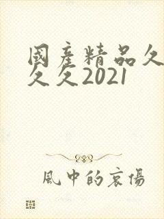 国产精品久久久久久2021