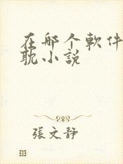 在哪个软件看原耽小说