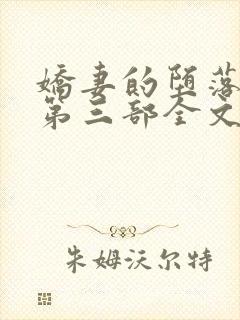 娇妻的堕落沉沦第三部全文