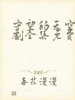 守望的天空电视剧全集免费观看封面