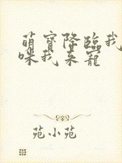 萌宝降临我的妈咪我来宠