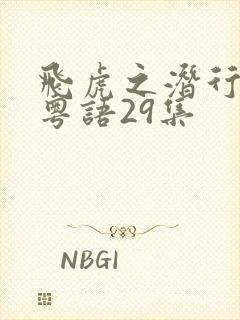 飞虎之潜行极战粤语29集