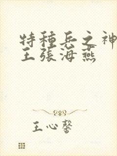 特种兵之神级兵王张海燕