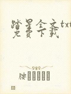 踏星全文txt免费下载