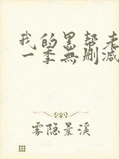 我的黑帮老大第一季无删减版封面