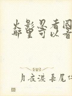 火影忍者国语版哪里可以看封面