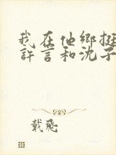 我在他乡挺好的许言和沈子畅结局