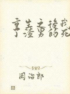 重生之后我嫁给了渣男的死对头封面