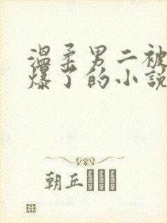温柔男二被男主爆了的小说