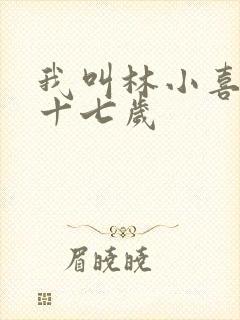 我叫林小喜今年十七岁