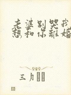 老婆别哭我真不想和你离婚女主叫什么封面