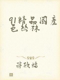 91精品国产黑色丝袜