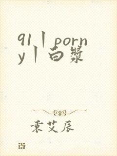91丨porny丨白浆