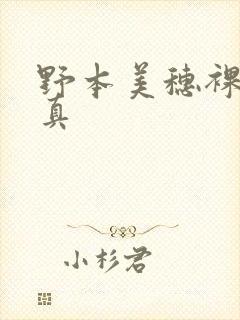 野本美穗裸体写真