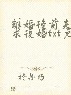 离婚后前夫哭着求复婚txt免费下载