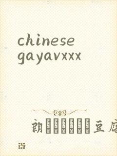 chinesegayavxxx