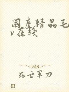 国产精品毛片av在线