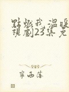 点燃我温暖你电视剧23集免费观看