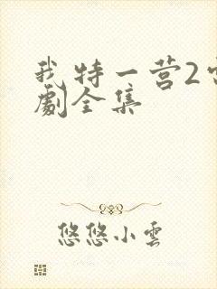 我特一营2电视剧全集封面