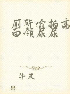 厕所偷拍高级女白领尿尿