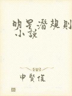 明星潜规则之皇 小说封面