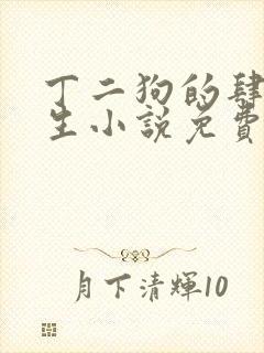 丁二狗的肆意人生小说免费阅读