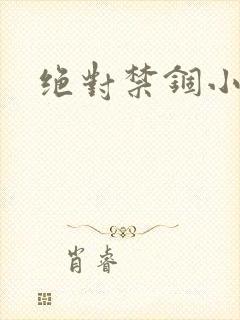 绝对禁锢小说封面