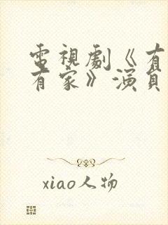 电视剧《有你才有家》演员表封面