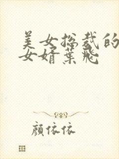 美女总裁的上门女婿叶飞