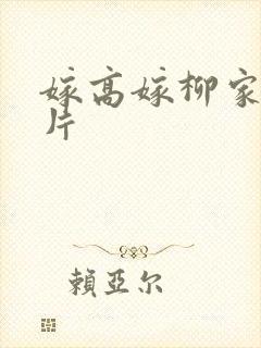 嫁高嫁柳家动画片