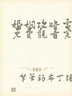 婚姻攻略电视剧免费观看完整版高清封面