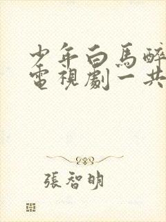 少年白马醉春风电视剧一共多少集