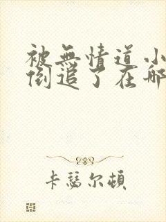 被无情道小师弟倒追了在哪看小说