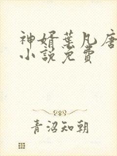 神婿叶凡唐若雪小说免费